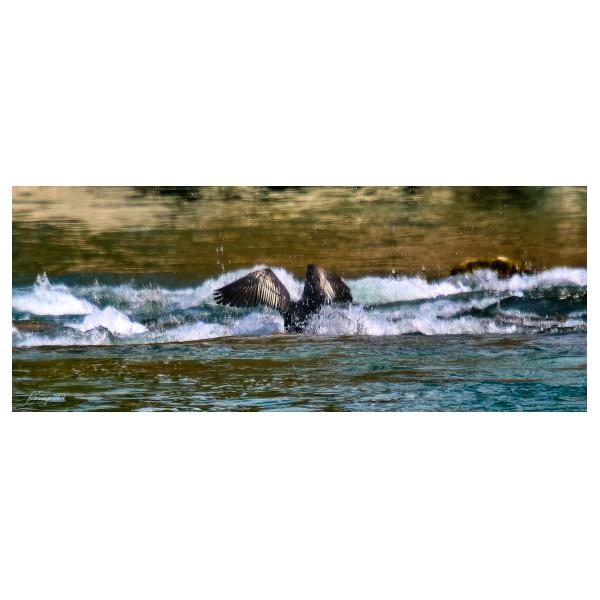 PHOTO84, CLUB, 84 , LUBERON